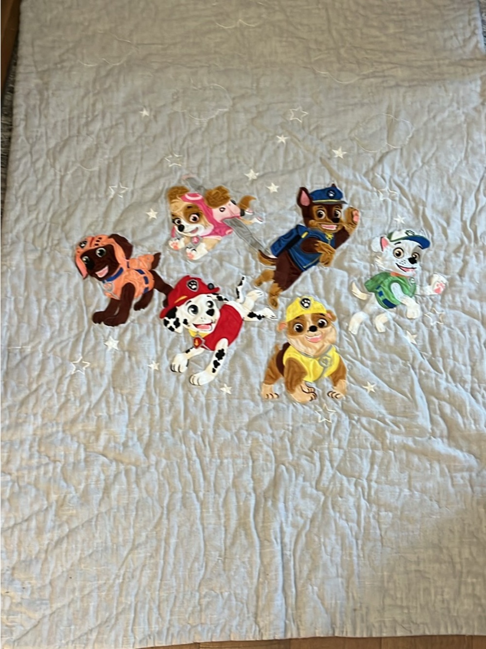 Pottery Barn Kids Paw Patrol Crib Sheet and Quilt
